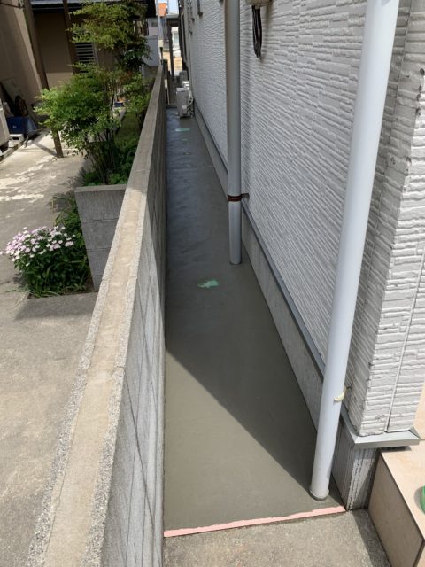 本日も晴れ以上なし…今のところ