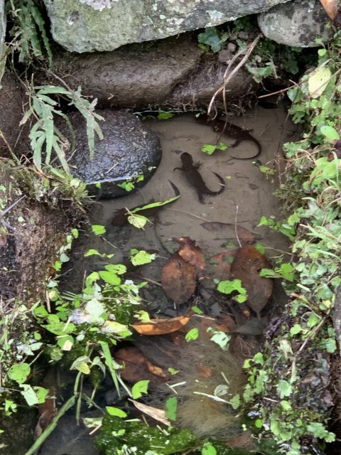 本日も晴れ異常なし